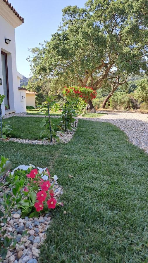 B&B La Chintina Сант'Антонио-ди-Галлура Экстерьер фото