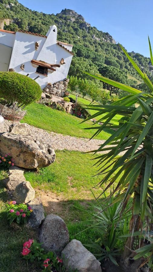 B&B La Chintina Сант'Антонио-ди-Галлура Экстерьер фото